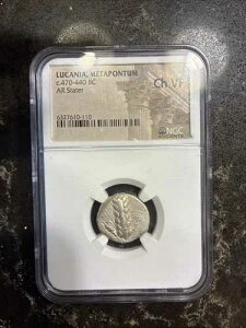 NGC ���J�j�A ���^�|���^�� �X�e�[�^�[ - Ch VF