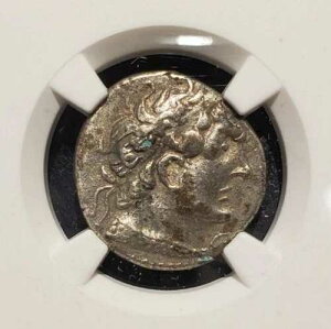NGC�F�� ���ɗǍD�ȏ�� �v�g���}�C�I�X6�� �I���O180-145�N AR �f�B�h���N�} �Ñ�U���i