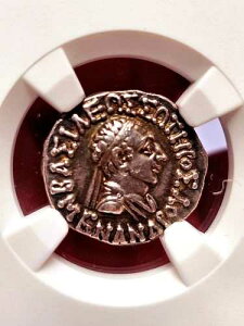 �C���h�E�M���V�A����̃��i���h���X�d�݁A�I���O165�N/55�`130�N���AAR�h���N�}�ANGC XF�O���[�h�A�x�X�g�X�g���C�N