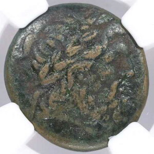Oeniadae AE22 �M���V�� �A�J���i�j�A ���� �I���O219-211�N NGC VF