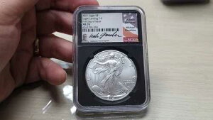 2021 �V���o�[�C�[�O�������f�B���O T-2 ���s���� FDI NGC MS70 �}�C�P���E�K�E�f�B�I�\