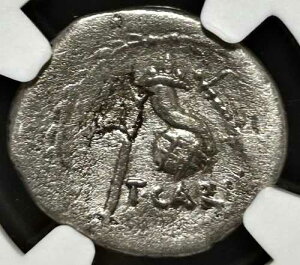 ���[�}�c��J���V�E�X AR �f�i���E�X �I���O46�N � �L���̊p �n���V NGC VG