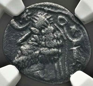 �p���e�B�A���� �t���A�^�P�X AR �h���N�} �I���O2�N-�I����4/5�N �~�g���_�g�J���g NGC VF