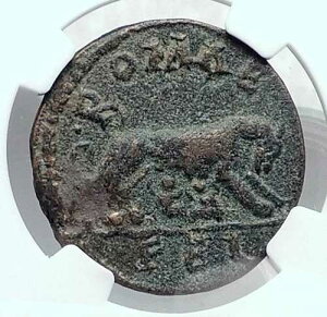 �}�N���k�X �{�� �Ñド�I�f�B�P�A�E�A�h�E�}�� ���[�}�R�C�� ���T�̑o�q NGC i81323