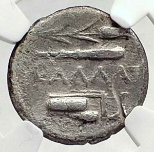 ���G�V�A�̃J���e�B�X ���C �Ñ�M���V����� �w���N���X NGC i73022