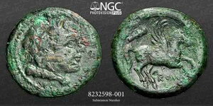 ���[�}���a�����[�} �����B�I���O230�N�BNGC Ch F 5/5 2/5 AE �_�u�����g�� 12.5mm 115