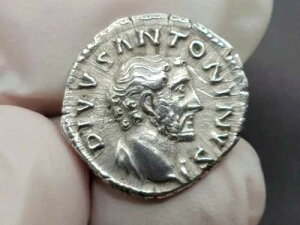 NGC ���[�}�� �f�i���E�X�A�f�B���@�X �A���g�j�k�X �s�E�X�A����L�O�i�A�O���[�h�uXF�v
