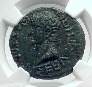 CLAUDIUS �{�� �Ñ� �I����41�N �e�b�T���A�̃R�C�m�� ���[�}�R�C�� APOLLO NGC i81460
