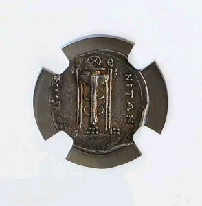 �V�`���A �^�E�����j�E�� �A�|�����O�r 4���g���C NGC CHOICE VF �Ñ���