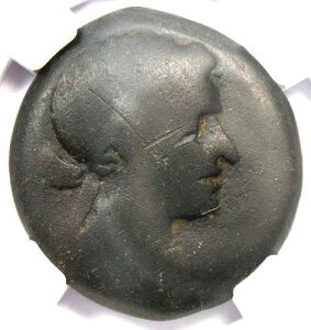 �N���I�p�g�� VII 80 �h���N�} �f�B�I�{�� �I���O 51-30 �N �N���I�p�g�� - NGC AG �F��