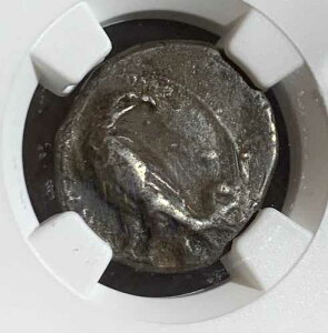 �M���V����BRUTTIUM�A�N���g���B�I���O425�`350�N���B AR �m���X (21.5mm�A7.65 g) NGC VF
