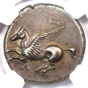 �A�J���i�j�A�E���E�J�X AR �X�e�C�^�[ �I���O300�N ��� - NGC XF - 5/5 �X�g���C�N���T�[�t�F�X