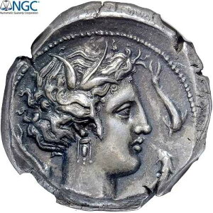 �V�`���A�A�e�g���h���N�}�A�I���O330-305�N���A�����o�C�I���A��ANGC�ACh XF 4/5-3/5-