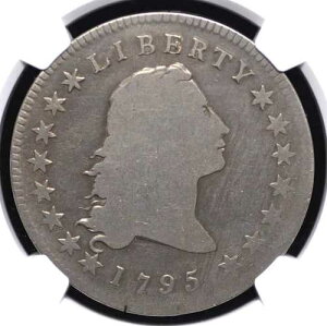 1795�N �t���[�C���O�w�A �_���[ 2���t NGC VG �ڍׁu�N���[�j���O�ς݁v ���C�g�O���[ �S��