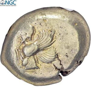 �~�V�[�A�X�^�e�[���A�I���O550-450�N���A�L�W�b�N�A�G���N�g�����ANGC�ACh VF 3/5-4/5