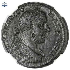 ���[�}�R�C�� - �}�N���k�X - ���G�V�A �j�R�|���X - �u�����Y - NGC AU - Varb.3443 v.bronze