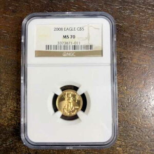 2008�N 5�h������ �A�����J���C�[�O�� 1/10�I���X �ے��I�Ȓn���FNGC MS70 -011 *Noles2148