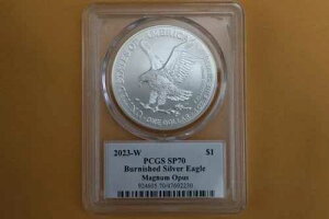 2023-W �o�[�j�b�V���h �V���o�[ �C�[�O�� PCGS SP70 �g�[�}�X�E�N���[�u�����h �}�O�i���E�I�[�p�X - �X�|�b�e�b�h