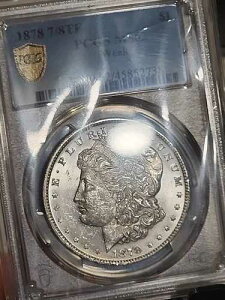 1878�N 7/8 �e�[���t�F�U�[�Y ���[�K�����