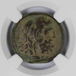 �v�g���}�C�I�X���� AE24 �v�g���}�C�I�X5�� �I���O205/4-180�N NGC CH F 5/3 ���C�g�}�[�N