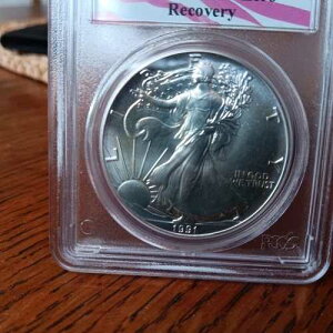 1991 �N WTC �O���E���h �[�� �A�����J�� �V���o�[ �C�[�O�� ���J�o���[ �R�C�� PCGS MS 69 �󏭃O���[�h!
