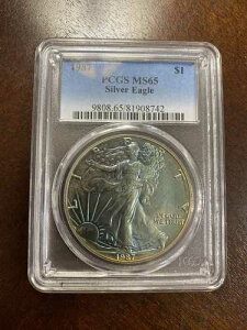 1987�N �g�[�����H �A�����J���V���o�[�C�[�O���h�� 1�h�� ASE - PCGS MS65 - �����X�^�[�g�[�����H�R�C��