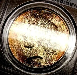1923�N �s�[�X�h�� MS62 PCGS �����X�^�[�S�[���h���[�t�g�[���\�ʁA���邢������