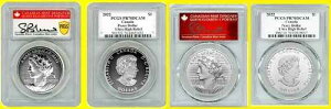 2022�N �s�[�X�E�p���Z�C�e�B���O PCGS PR 70 �E���g���n�C�����[�t S �u�����g�V�[���h ���A 2��