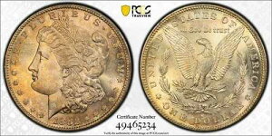 �A�����J 1882-S �����K����� PCGS MS-65 �ǍD�ȐF��