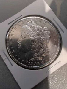 1882-S �����K���E�_���[ - �� - VAM 17 �_�u���f�C�g S/S �f�B�[�v�J���I - DD09