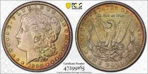 1900�N 1�h�� �����K����� PCGS MS-64 �������F��
