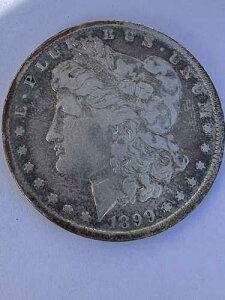 1899-O �����K�� VF �V���o�[�h�� - �G���[�uO�v���t�ɐڐG���Ă���������F�����̃R�C��