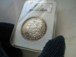 1900 S ���[�K�� �V���o�[ �_���[ NGC MS64PL **�v���[�t** **���Ɋ󏭂ȃR�C��**
