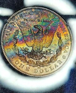 1883 CC �J�[�\���V�e�B GSA �����X�^�[�g�[�� ���[�K�� �V���o�[ �_���[ (��/COA �t��) - ������!