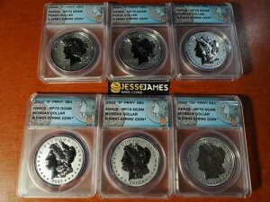 2022�N 1�h�� �t�B�W�[ ���o�[�X�v���[�t �V���o�[ ���[�K�����s�[�X ANACS RP70 FS 6���Z�b�g