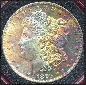 1879-S 1�h�� �󏭃����X�^�[�A�������}���`���C���{�[�g�[�j���O �����K���h��