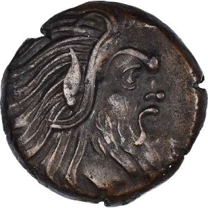 [#1021453] �R�C���A�L�������A �{�X�|���X�A�p���e�B�J�p�C�I���A��?�A310-304/3 BC�AAU
