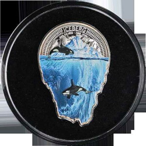 2024�N �t�B�W�[ 1�I���X �V���o�[ 2000�t���� Wonders of Nature Iceberg OGP COA - �݌ɂ���