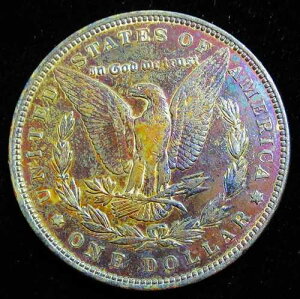 1892�N�����K���E�_���[�B���i�ʁI�f���炵���F���I�����~���g����I