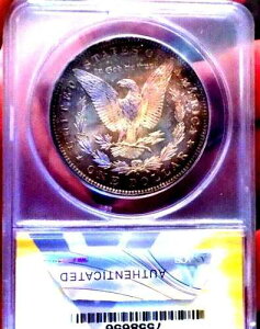 �����K�� �V���o�[ �h�� 1881 O ANACS MS 62 �����X�^�[ ���C���{�[ ���nPL�t��