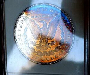 �����K�� �V���o�[ �h�� 1878 7 TF NGC MS 64++ �I�[���h�z���_�[ �����X�^�[ ���C���{�[ �T���Z�b�g