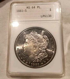 1881-S �����K����� MS-64 PL ��ANA�z���_�[ �p�[�v�������X�^�[