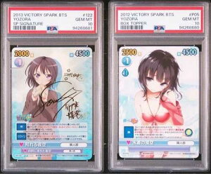 ���B�N�g���[�X�p�[�NTCG �l�͗F�B�����Ȃ� #122 #P05 2���Z�b�g [PSA10]