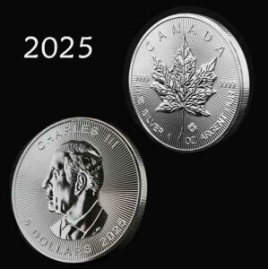 1�I���X 2025?�J�i�_�V���o�[ ���[�v�����[�t?(BU) �R���N�V�����p