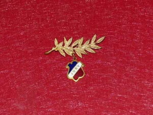 [�R���N�V����] �L�̓o�b�W �R���� ����������R���e�X�g �p���� 1880 1900