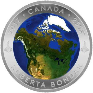 2017�N �F�����猩���J�i�_�̕��i �ʌ^ �ÈłŌ��� 1�I���X���