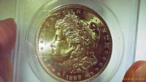 1888 S ANACS MS62 VAM 13 �����X�^�[�E�S�E�W���O�E���o�[�X�E�q�b�g���X�g 40 �����K���E�V���o�[�E�_���[