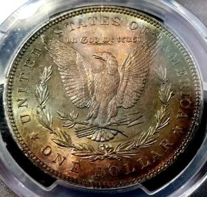 1898�N P �����K���E�_���[ PCGS MS66 �����X�^�[�E���C���{�[ �g�[���E�g�[�j���O ���W�X�g���R�C��