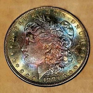 1883-O $1 Tidy House Morgan �V���o�[ �_���[ �����X�^�[�g�[��!