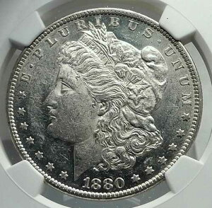 1880�N �A�����J���O�� ��� �����K�� US�h�� �C�[�O�� NGC i79700